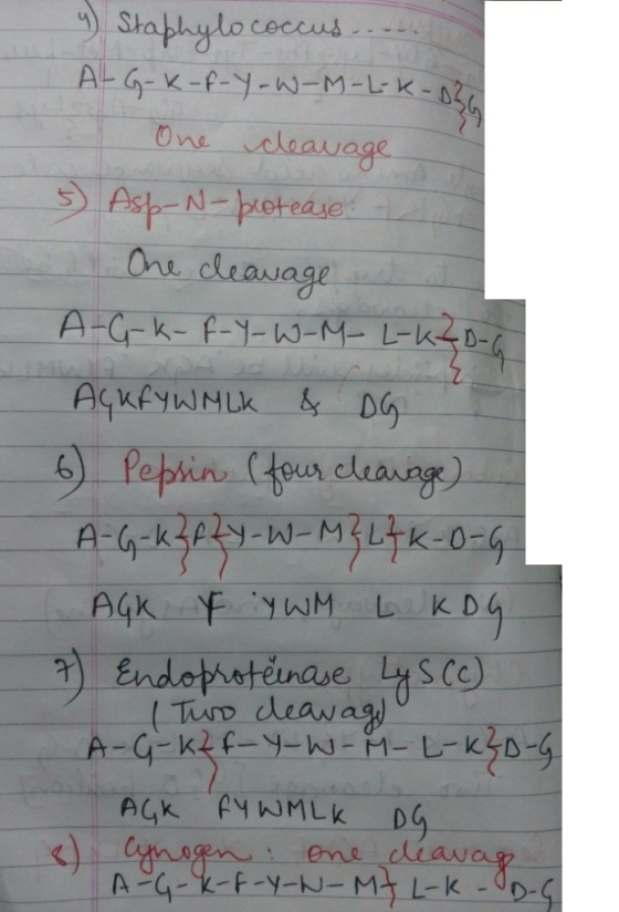 One lauage 6