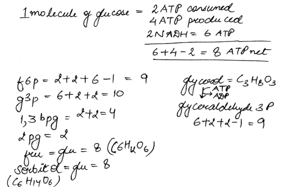 1 molecule of ducose = 2ATP consuned 4ATP produced 2Nянз 6 Ате 6+4-2= 8 ATP net Igento C3H803 gyceraldehyde 3P 6+4+299 Kop= d