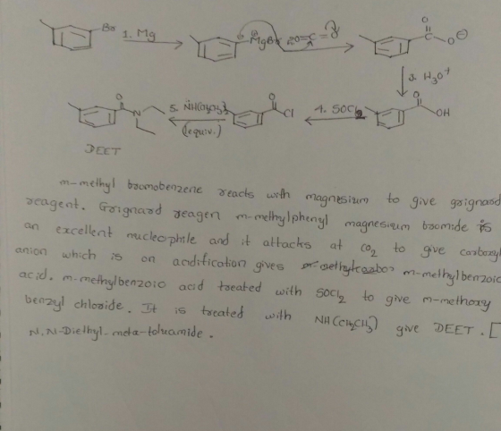 C) 曰 Bo 1. M1 3. H2o .50 OH (equiv.) DEET m-methyl baomobenzene eacts rth lagnesiu to give gsignand gent. roignasd geagetm-me
