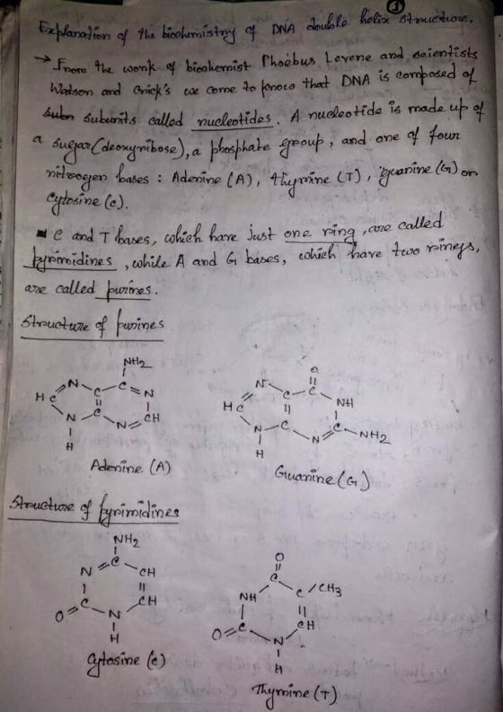 malsta f,ero he wenk 여 be akemist Phoebus Love ne and 6e . enlists aun Subonit.s called nucletides A nueleo tide is made uf w