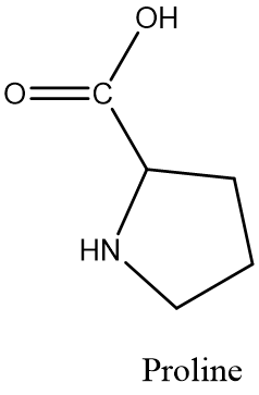 HN Proline