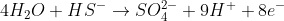 4H_2O+HS^{-}\rightarrow SO_4^{2-}+9H^++8e^{-}