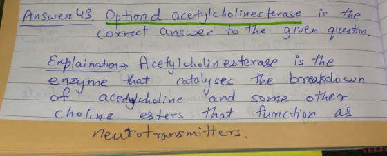 Answen u3 Ob tiond ace tylcholinesterase io the to-The given-qulestm enzime hatcatalyce the breakdo ace.식dli ne and some oth
