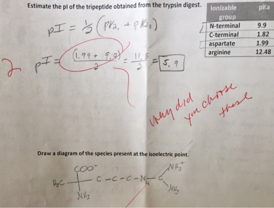 Three Letter abbreviation of the sequence Hy One L