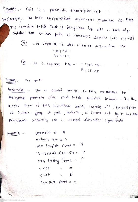 nowe.. This is a pro karyotic transcription unit tuplanation. The best characterized prokaryots pro metena are those The bac