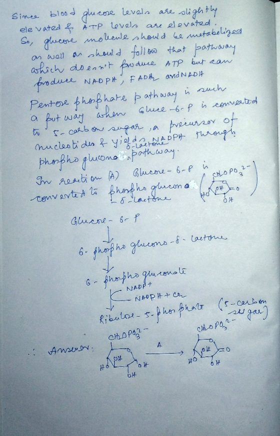 blood Simea Lavala are oligh ele vated& ATP Levela are elevated S, gucne mohenle ahoud ematabalzed an well a aheul d foll ba