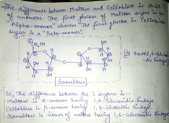 of anomers. difference between Maltese and cellobiose is that anomers. The first glucose of maltose sugar es an Alpha-anomen