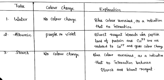 Tube colour change Explanation 1 Water No colour change 2 Albumin purple or violet Blue Colour remained, as a indication that