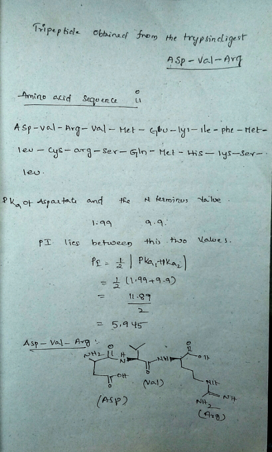 个ripe p bele obbins cf ,5-om trypsin cligesr the -Amino acid Seqe ene u Asp-val- Argval Met -phe -tet- thị) hoo Valo e s. fI