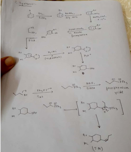 NAN febrg lig NH3 NANO/ Hel UH VDHF Podly Si Nao AC formy lation PTSA AY H₂lNi (reduction) NAH) DNS phosphonium Php: ylide IN
