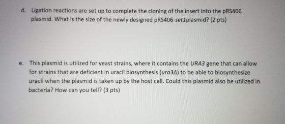 d. Ligation reactions are set up to complete the cloning of the insert into the pRS406 plasmid. What is the size of the newly