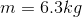 m = 6.3 kg