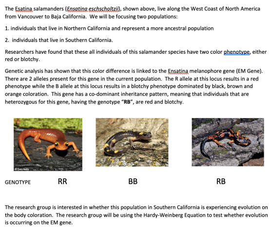 The Esatina salamanders (Ensatina eschscholtzii), shown above, live along the West Coast of North America from Vancouver to B