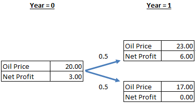 Year = 0 Year = 1 Oil Price Net Profit 23.00 6.00 0.5 Oil Price Net Profit 20.00 3.00 0.5 Oil Price Net Profit 17.00 0.00