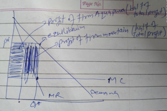 Page No. focufit of Firm Aques pool by الطامعه Total profit profit tamen mountain (hattt st o Dem MR