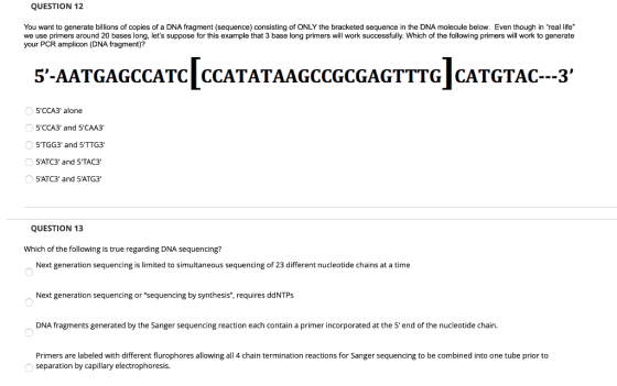 QUESTION 12 You want to generate billions of copies of a DNA fragment (sequence) consisting of ONLY the bracketed sequence in