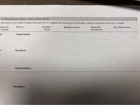 SUMMARIZING WHAT YoUVE LEARNED After each of your studies of plants (Exercises 28-31), complete the relevant parts of this t