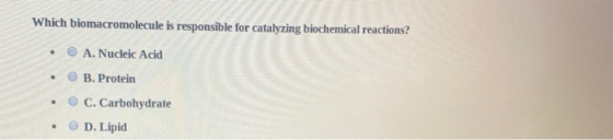 Which biomacromolecule is responsible for catalyzing biochemical reactions? • • A. Nucleic Acid B. Protein C. Carbohydrate D.