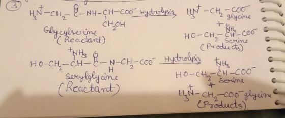 HN-CH-NH-CH-COo Hadrolysis N-CHCOO geycine + Снон G-ly cylserine Reactant) NHS HO-CHCH-COO Serine C Ps oduct NHS Ho-CH-CH Hyc