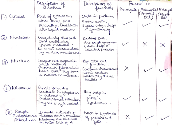 Descriptions of - Strucliue © Cyrasol Description of I Found in functions Prokaryotes 1. Eukaryotes Eukaryola (Animal Pla cen