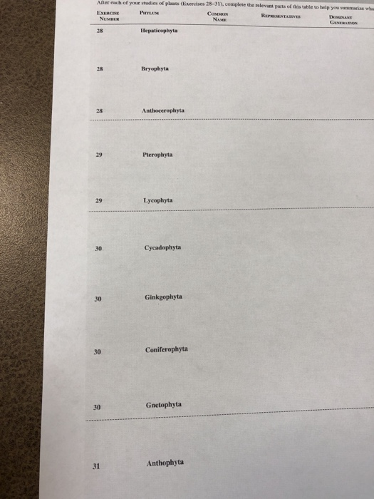 After each of your studies of planEs (Exercises 28-31), complete the relevant pacts of this table to belp you summariee wha E