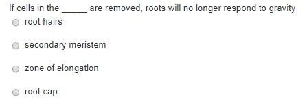 are removed, roots will no longer respond to gravity If cells in the root hairs secondary meristem Ozone of elongation root c