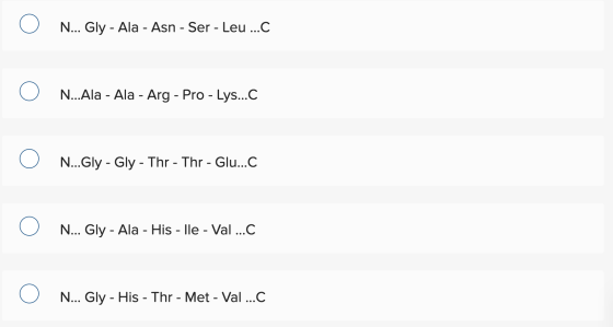 Ο N... Gly - Ala - Asn - Ser - Leu ...C Ο Ν...Αla - Ala - Arg - Pro - Lys...C Ο Ν...Gly - Gly - Thr - Thr - Glu...C Ο Ν... Gl
