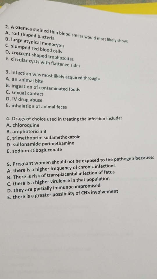2. A Giems A. rod shaped bacteria B. large atypical monocytes C. slumped red blood cells D. crescent shaped trophozoites E. c