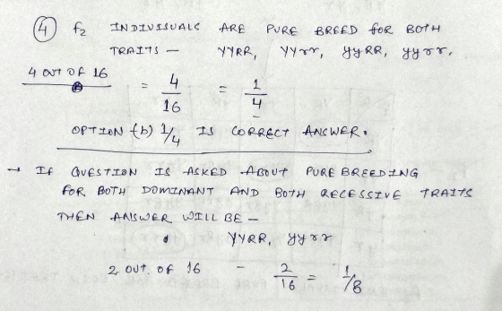 (4) fz IN DIVISUALS TRAITS - ARE PURE BREED FOR BOTH YYRR, yyor, yYRR, yyrr, 4 OUT OF 16 - = 4 = 1 16 OPTION (6) / IS CORRECT