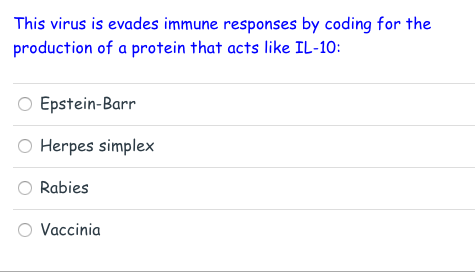 This virus is evades immune responses by coding for the production of a protein that acts like IL-10: O Epstein-Barr O Herpes simplex O Rabies Vaccinia