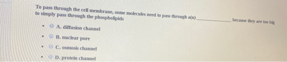 because they are too big To pass through the cell membrane, some molecules need to pass through a(n) to simply pass through t
