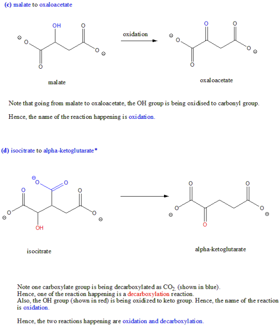 (c) malate to oxaloacetate OH O oxidation malate oxal oacetate Note that going from malate to oxaloacetate, the OH group is b