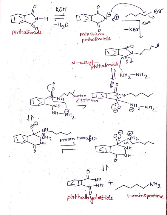 Bar 1 - NH 11 LINOM SN2 Phthalimide - KBr a 0 potassium phthalimidle N-alkyl ithalmicel ÖR Phtha J NH₃-NH2 R Noroton I proton