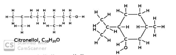 HHHH I-U I-U H-C- C= C-C-C— C— C-C-O-H H-C-H HMH-C-HHH I-U C-C - I tonellol, C10H200 - II Oo CamScanner