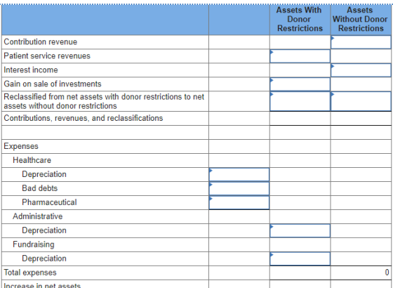 Assets With Donor Restrictions Assets Without Donor Restrictions Contribution revenue Patient service revenues Interest incom