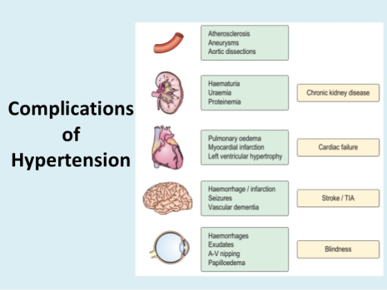 Atherosclerosis Aneurysms Aortic dissections Haematuria Uraemia Proteinemia Chronic kidney disease Complications of Hypertens