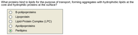 What proteins bind to lipids for the purpose of transport, forming aggregates with hydrophobic lipids at the core and hydrophilic proteins at the surface? O B-polipoproteins O poprotein O Lipid-Protein Complex (LPC) O Apolipoproteins O Perilipins