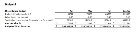 Budget 4 Direct Labor Budget Budgeted Production (units) Labor hours req. per unit Total labor hours needed for production (i