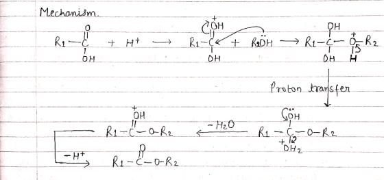 Mechanism COH OR2 R1-C R1 DH OH Proton trasfen OH R1-C-0R2 0-R2 OH2 Ri-C-0-R2