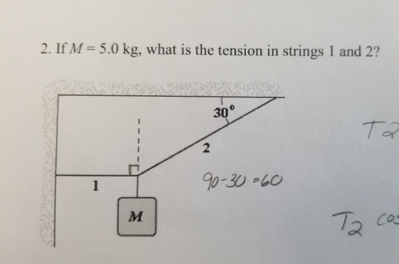 2. IfM= 5.0 kg, what is the tension in strings 1 and 2? 心 30 T or