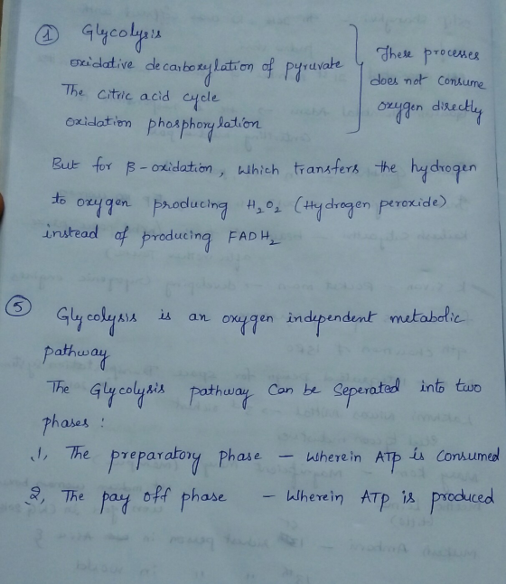 Glycolysis Oxidative de carboxylation of pyruvate mocht u These does not processes consume The citric acid cycle Oxidation ph