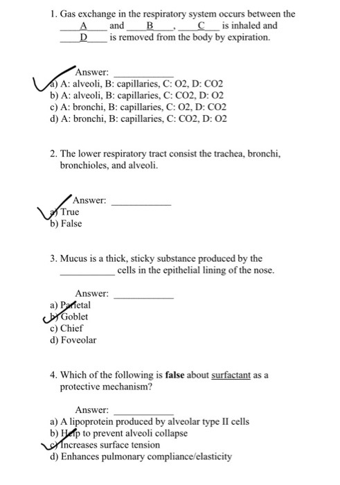 1. Gas exchange in the respiratory system occurs between the A and B , C is inhaled and D i s removed from the body by expira