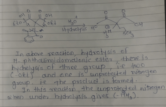 In above seaction hydratysis of N-phthclimidomalonic estes hydealyeis otty and one is unprctected mibegen ie the psocluct is