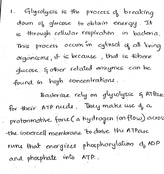 1. Gluycolysis is the process of breaking down of glucose to obtain energy. It is through cellular respirahon in bacteria.. T