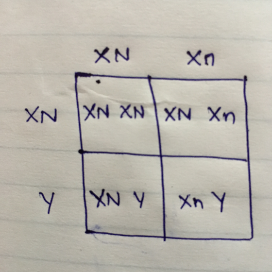 Xn