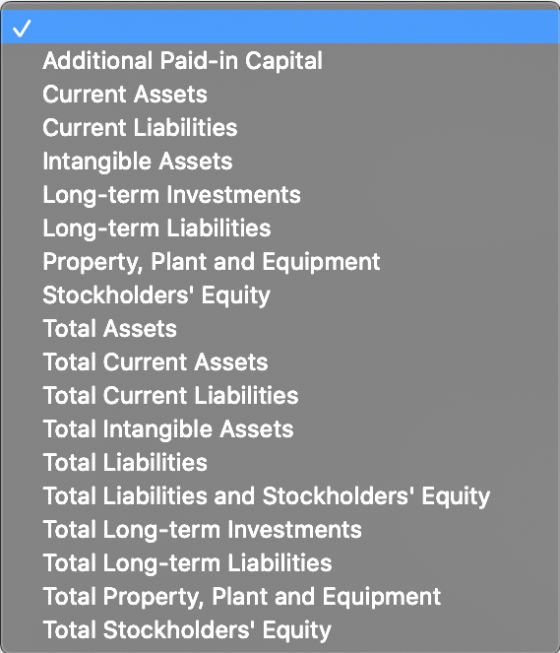 Additional Paid-in Capital Current Assets Current Liabilities Intangible Assets Long-term Investments Long-term Liabilities P