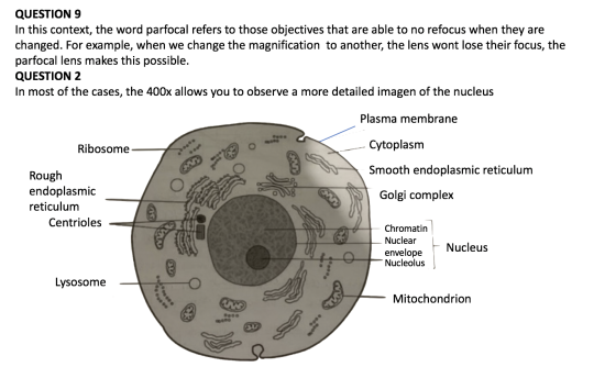 QUESTIONS In this context, the word parfocal refers to those objectives that are able to no refocus when they are changed. Fo