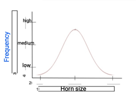 highl medium Frequency low 12 Horn size