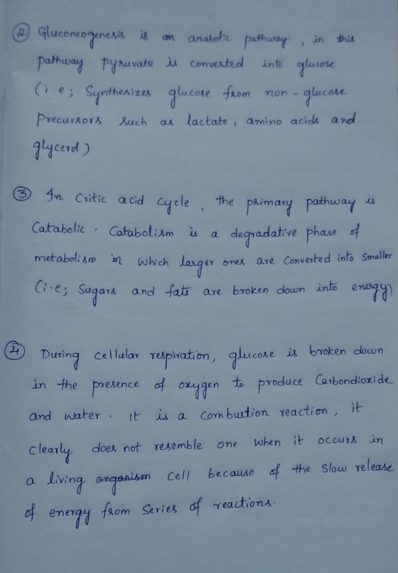 @ Gluconeogenesis is an anabolic pathway in this pathway Pyruvate is converted into glucose (i.e; Synthesizes glucose from no