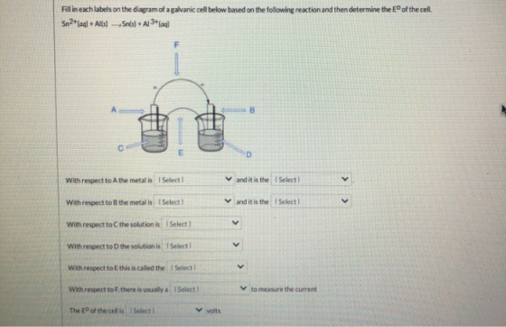 Fil in each labels on the diagram of a galvanic cell below based on the following reaction and then determine the Eof the cel